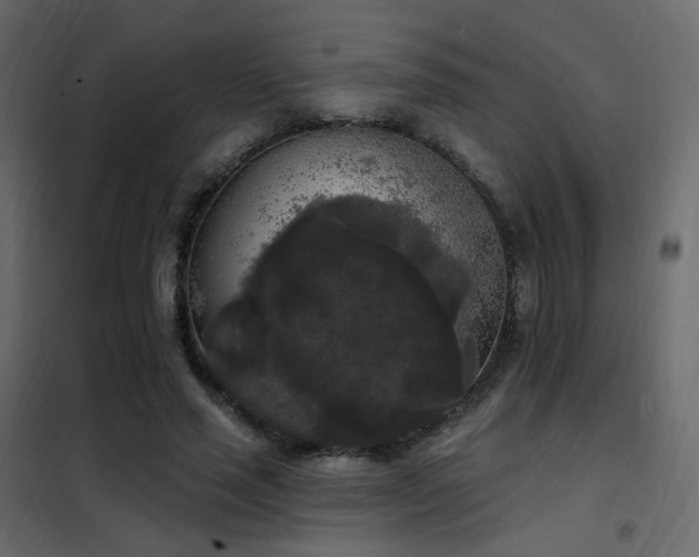 X0000102530637200808081452