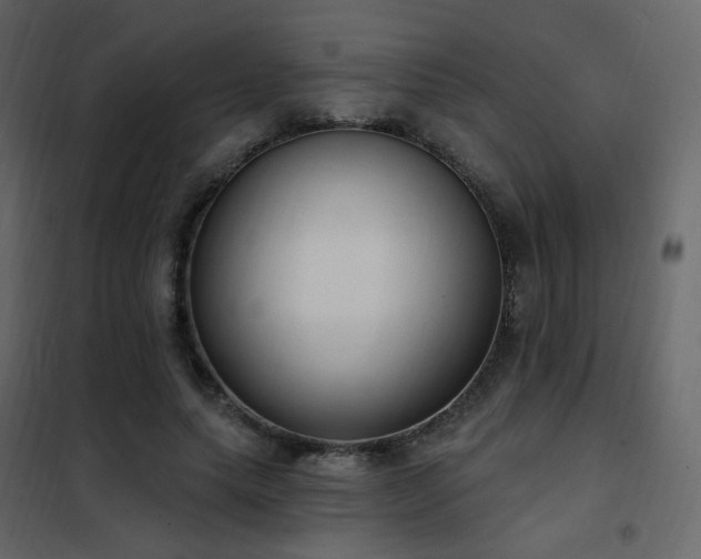X0000102530639200808081453