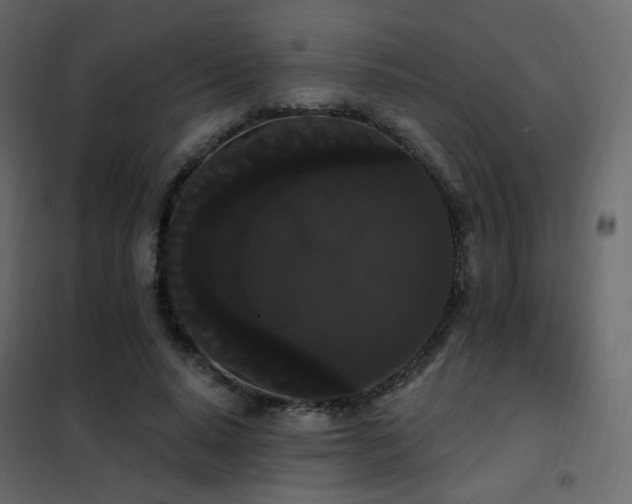 X0000102530640200808081453