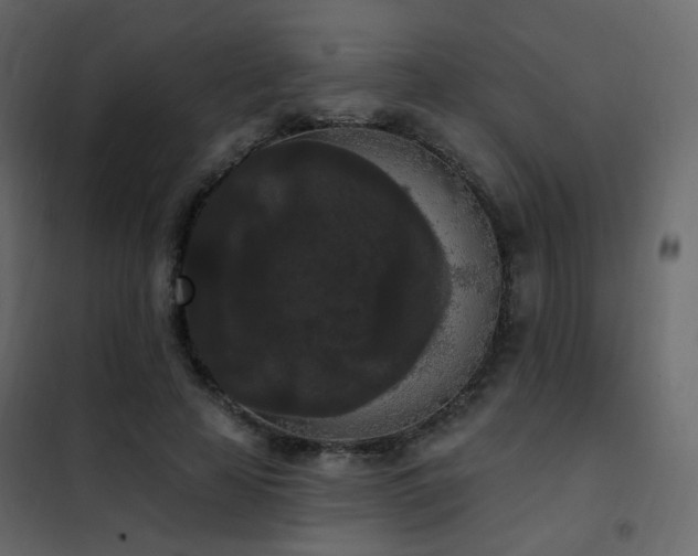 X0000102530641200808081453