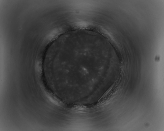 X0000102530642200808081453