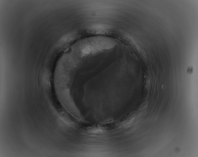 X0000102530643200808081453