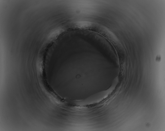 X0000102530644200808081453