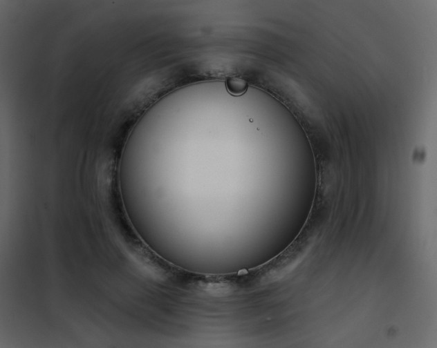 X0000102530645200808081453