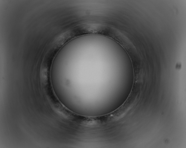X0000102530646200808081453