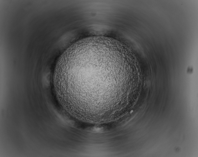 X0000102530647200808081453
