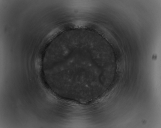 X0000102530648200808081453
