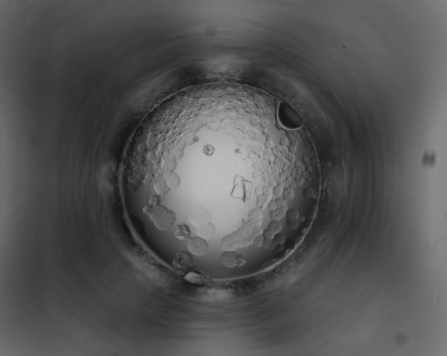X0000102530649200808081453