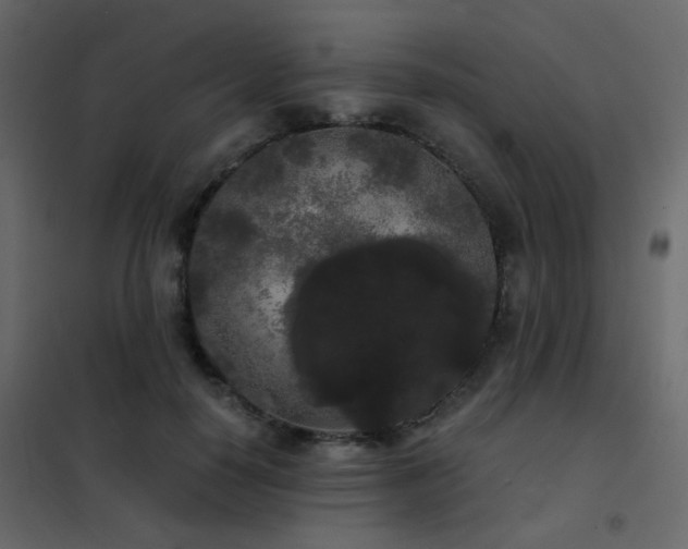 X0000102530650200808081453