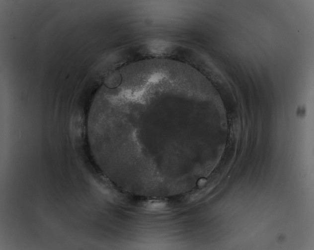 X0000102530651200808081453