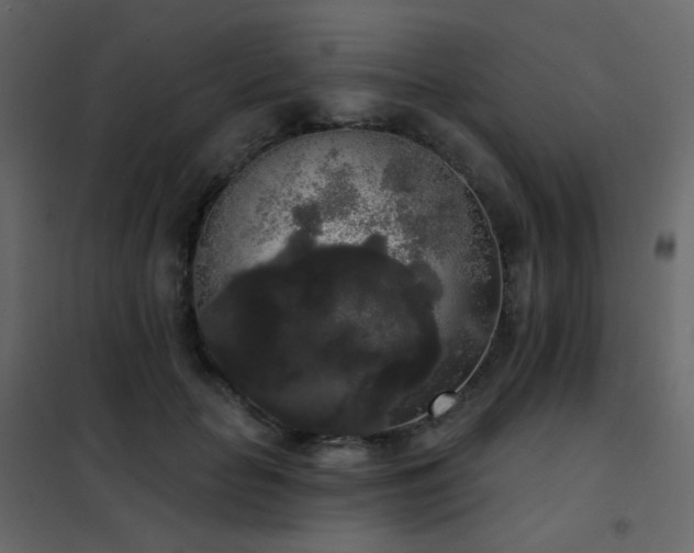 X0000102530653200808081453