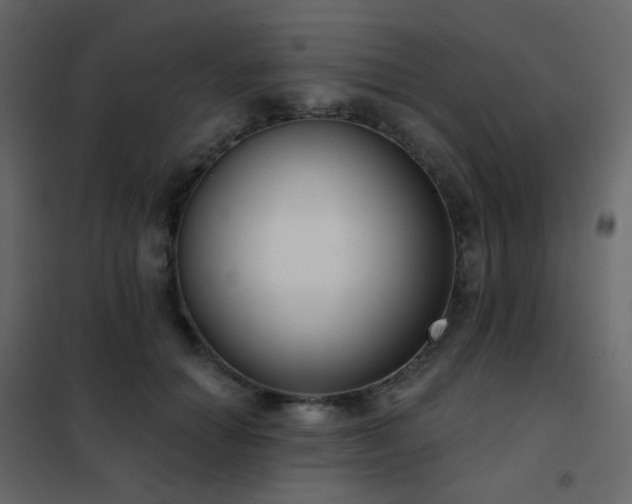 X0000102530654200808081453