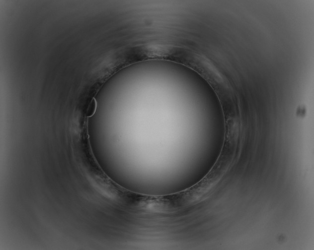 X0000102530655200808081453