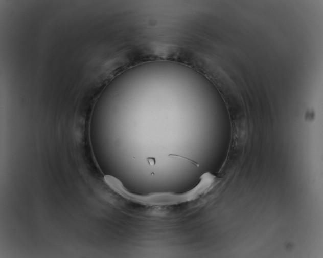 X0000102530656200808081453