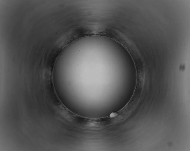 X0000102530657200808081453