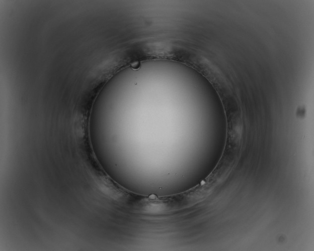 X0000102530658200808081453