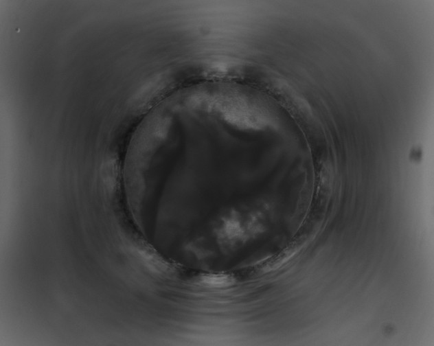 X0000102530659200808081453
