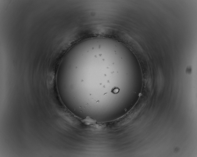 X0000102530660200808081453