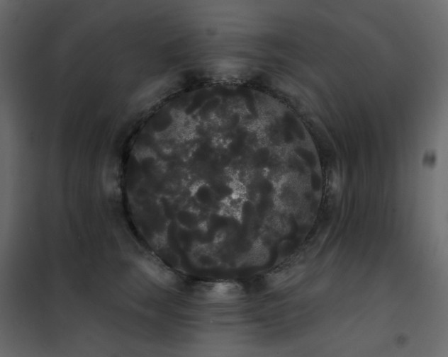 X0000102530663200808081453