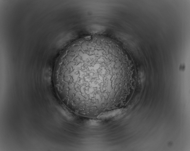 X0000102530664200808081453