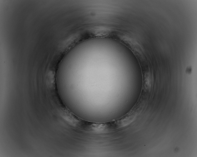 X0000102530667200808081453
