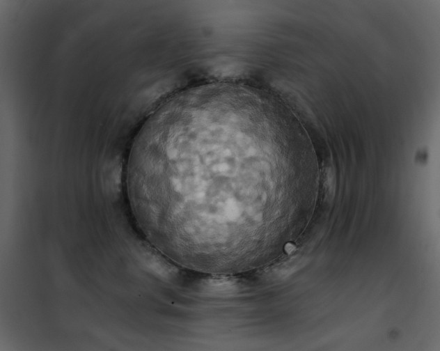 X0000102530668200808081453