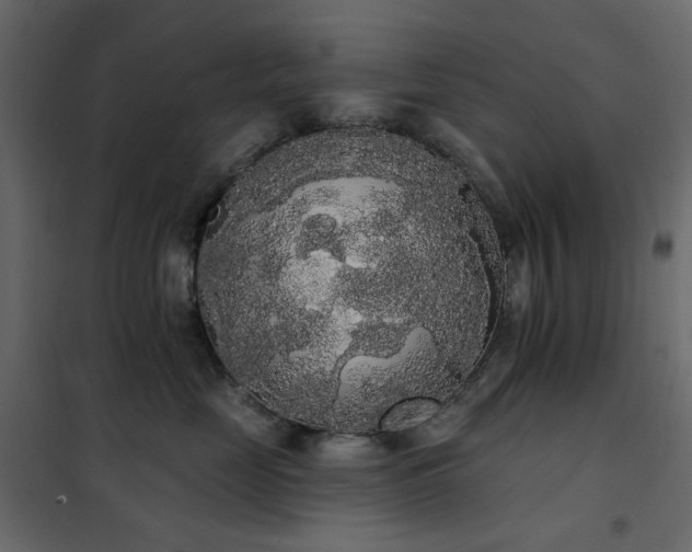 X0000102530669200808081453
