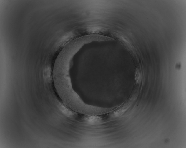 X0000102530670200808081453