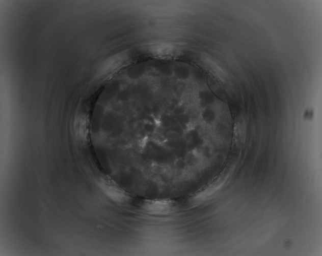 X0000102530671200808081453