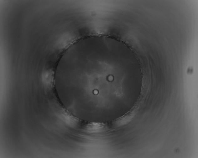 X0000102530672200808081453