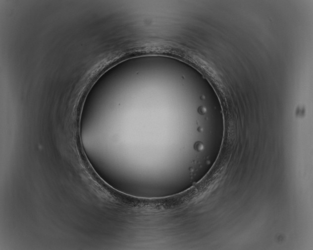 X0000102530673200808081452