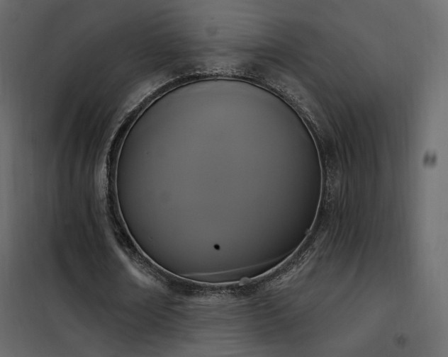 X0000102530674200808081452