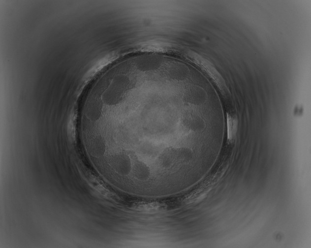 X0000102530675200808081452