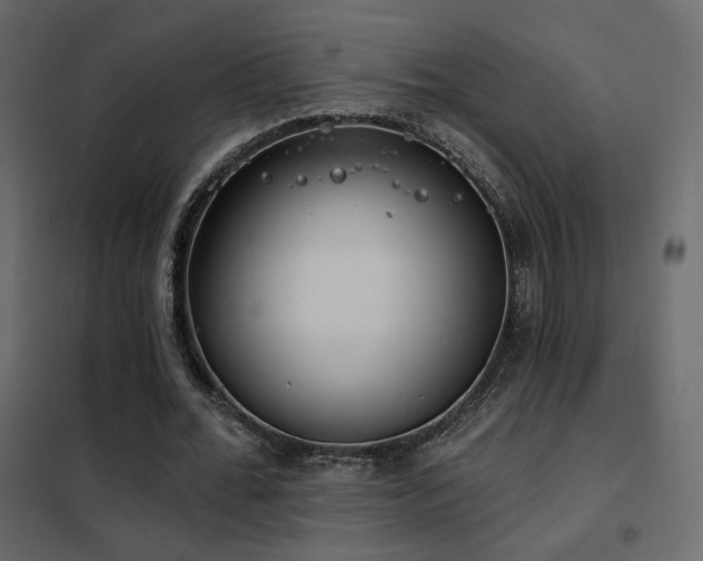 X0000102530676200808081452