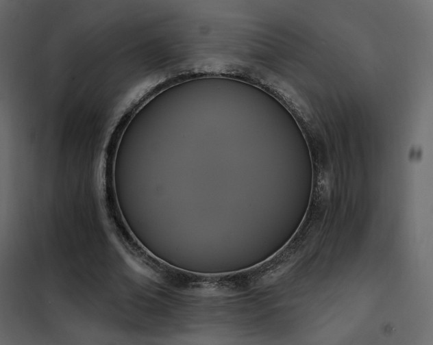 X0000102530678200808081452