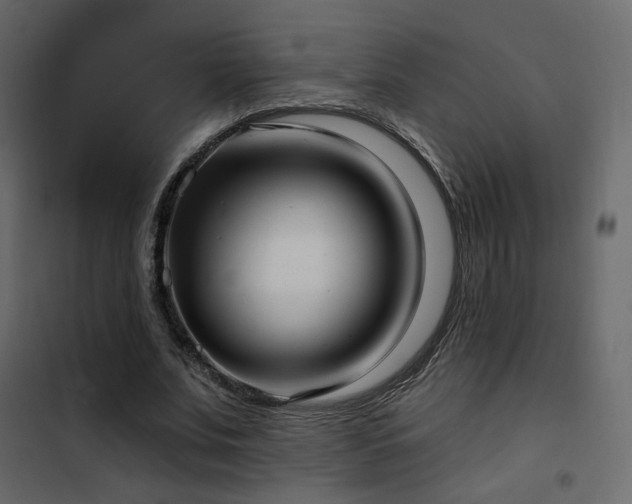 X0000102530679200808081452