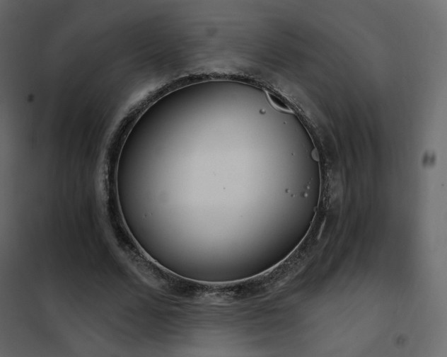 X0000102530680200808081452