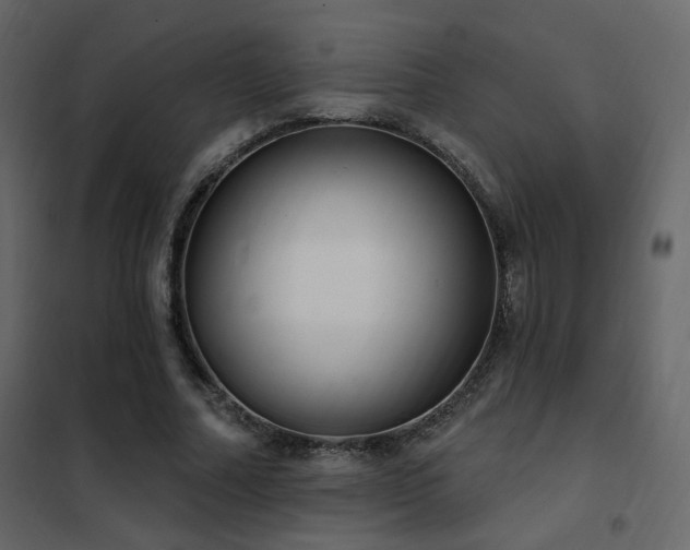 X0000102530682200808081452