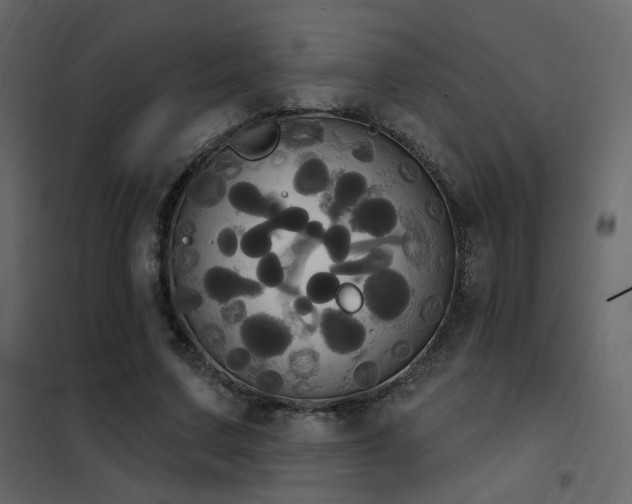X0000102530683200808081452