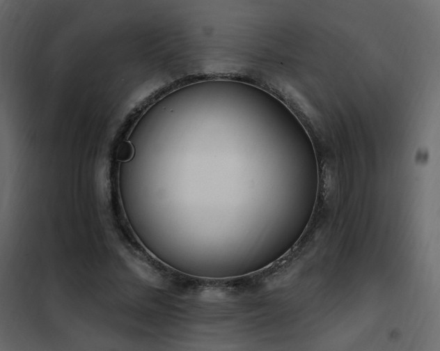 X0000102530684200808081452