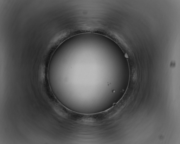 X0000102530685200808081452