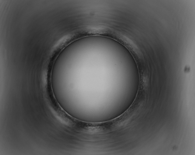 X0000102530686200808081452