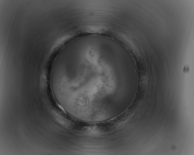 X0000102530688200808081452