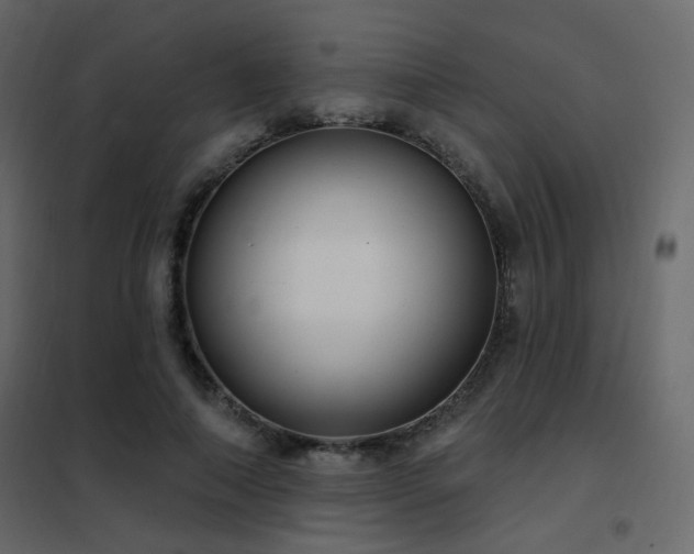X0000102530690200808081452