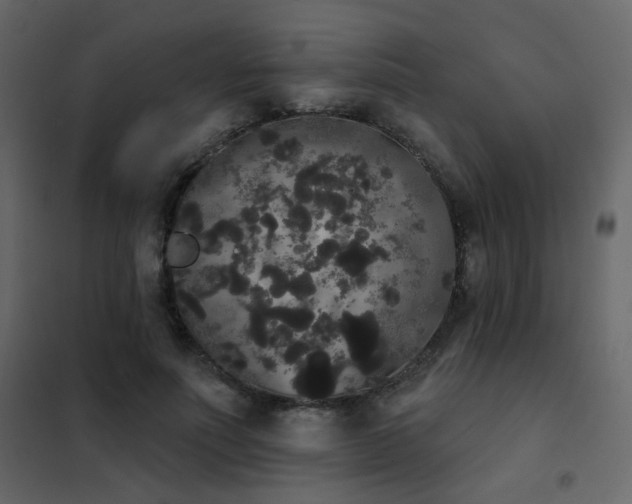 X0000102530691200808081452