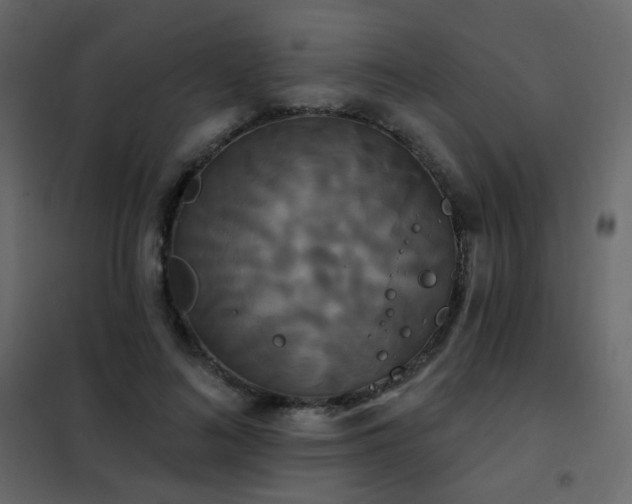 X0000102530692200808081452