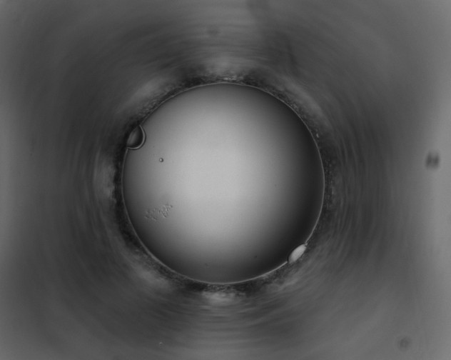X0000102530693200808081452
