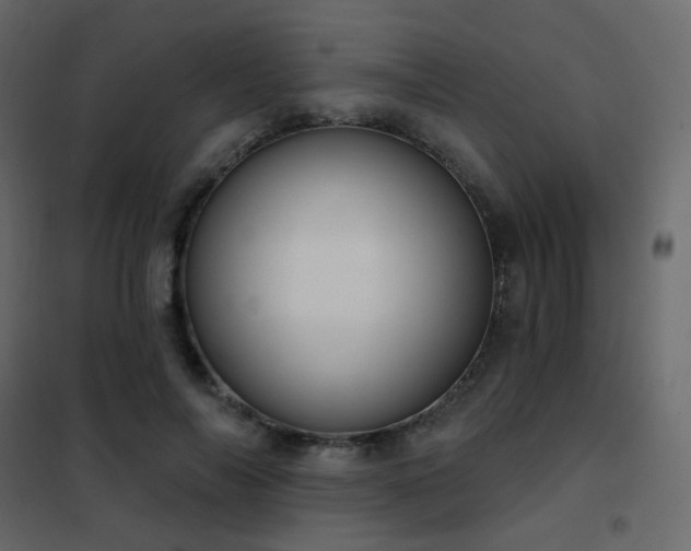 X0000102530694200808081452