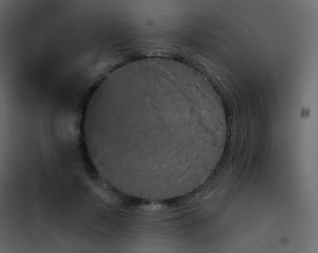 X0000102530695200808081452