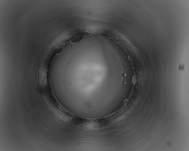 X0000102530696200808081452